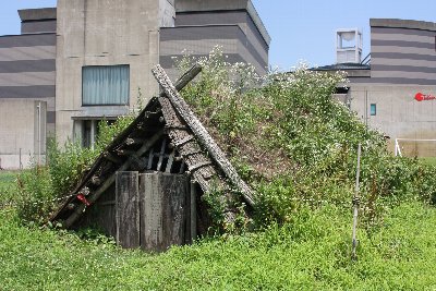 桜町遺跡の復元竪穴式住居