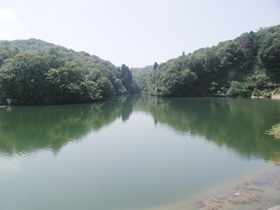 藤ヶ池