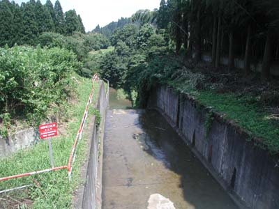 導流部