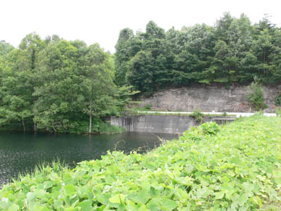 天端から洪水吐を見る