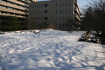 この広さなら四層五階の天守も建てられそうです