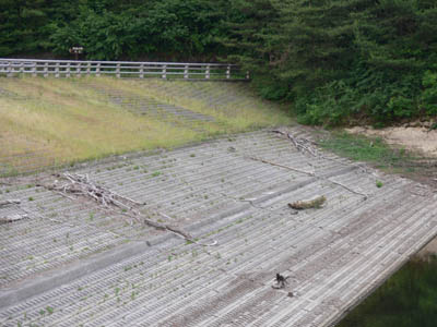 堤体上流側にはコンクリートを張ってある