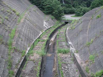 導流部