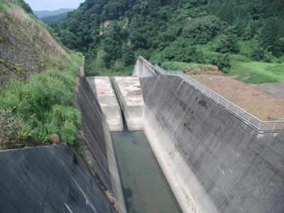 導流路