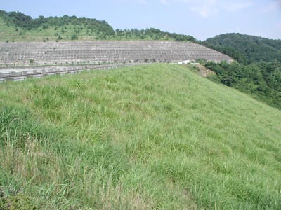 右岸下流側から堤体を見る