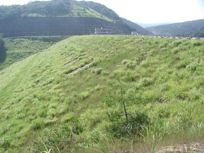 左岸下流側から堤体を見る