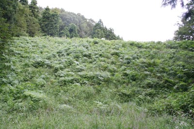 原山ダム全景