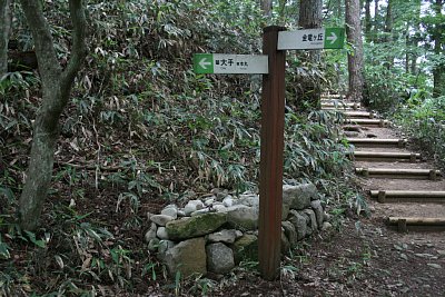 石垣跡が残っています