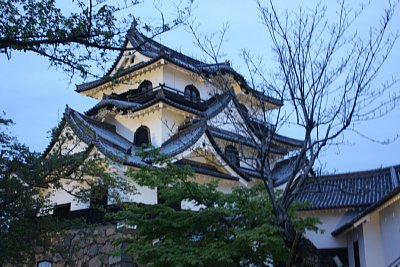 彦根城がライトアップされています