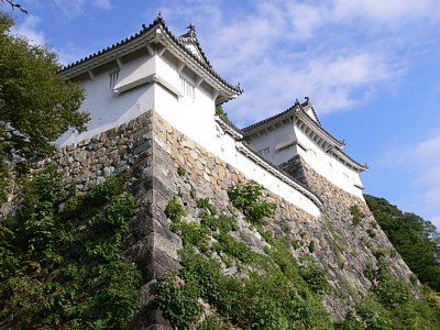 姫路城帯廓櫓と石垣