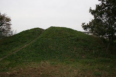 放生津城跡にある土塁・・・なら良かったのですが