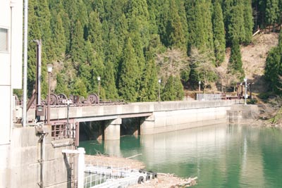 堤体を左岸上流側から