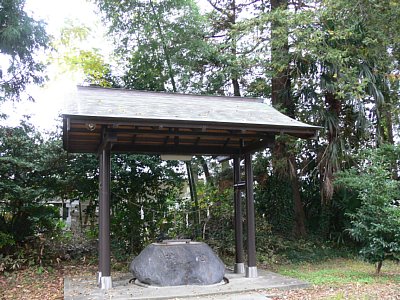 郭を囲む石垣が遺構として残っています