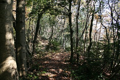 狭い尾根上を降っていきます