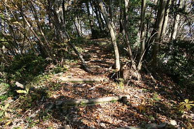 今度は上りの階段です