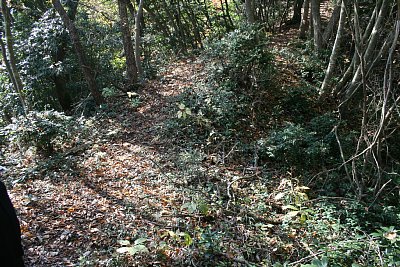 尾根は狭く急です