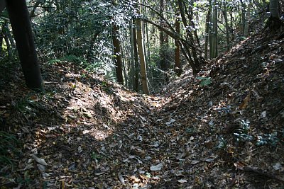 南側に伸びる堀切