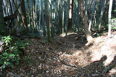 堀切の北側は竹のドーム屋外ステージ