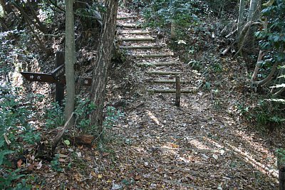 堀切が通路となっています