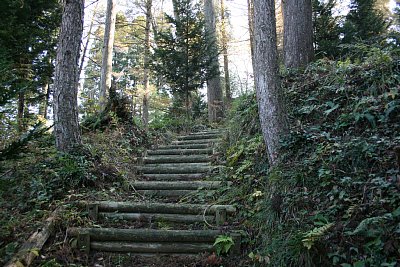 階段は遊歩道として良く整備されています