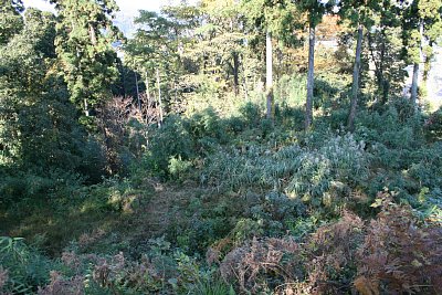 土塁上から見た主郭の全景