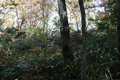 副郭も背後が土塁に守られています