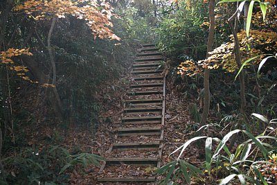 東側にはいくつもの小曲輪と堀切があります