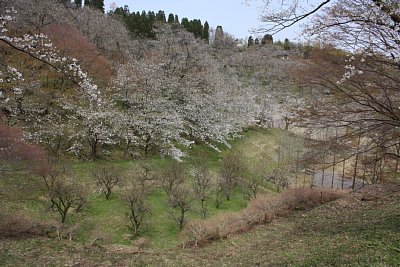 城山公園上部からの展望