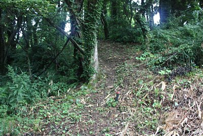 本丸方面への通路は狭く急です