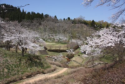 城山公園全景