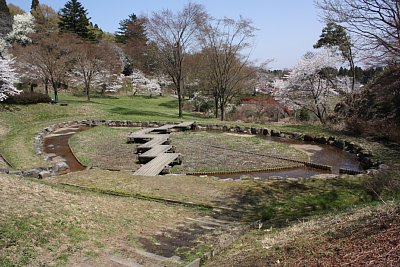 菖蒲園