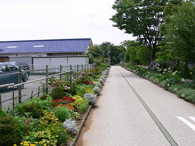 自転車道の左側が車両基地があった場所です
