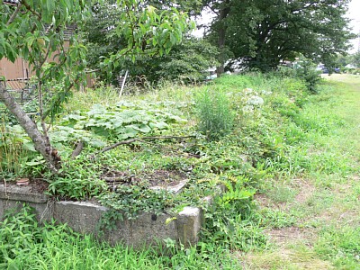 ホーム跡は草ぼうぼうです