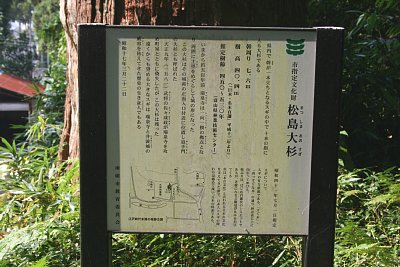 松島大杉の説明版
