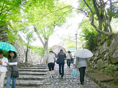 石段の両側にも石垣が連なっています