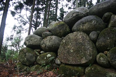 真ん中の大きな石は加工したような形跡が