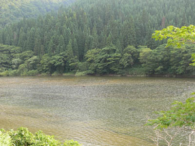 ダム湖の堆砂は著しい