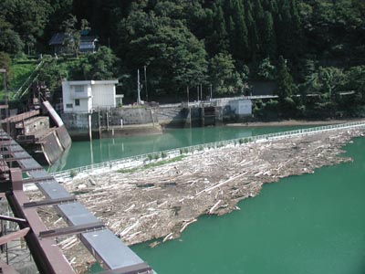 流木と取水スクリーン