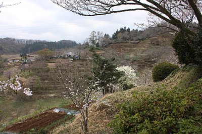 向こうの山にも四阿が見えますね