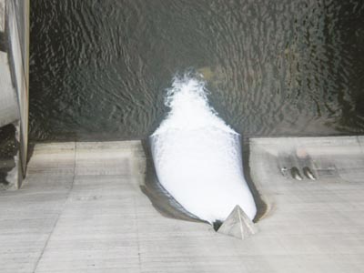 洪水吐からの放流をアップ