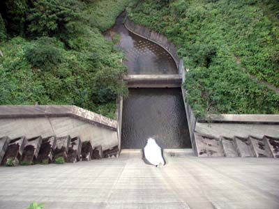 洪水吐と越流部を堤体上から眺める