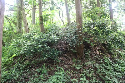 主郭はこの土塁上にあります