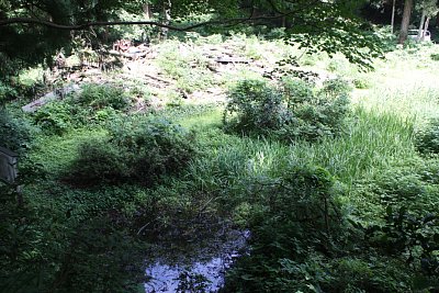 水堀が主郭の北側を守っています