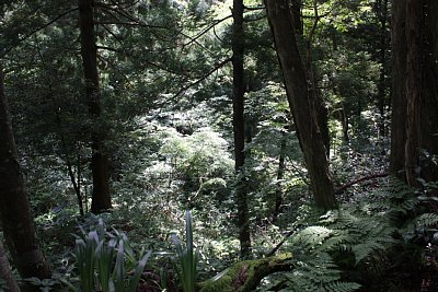 主郭の南側は断崖です