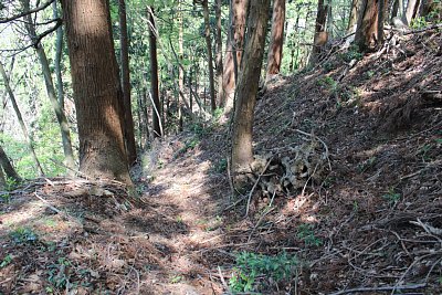 途中に竪堀が走っています