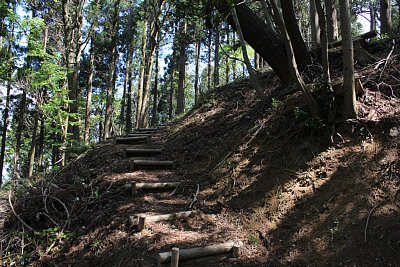 狭くて急な通路を駆け上ります