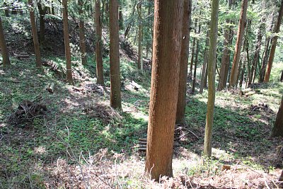 帯曲輪は平坦地はさほどではないです