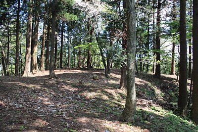 主郭も削平はイマイチいい加減です