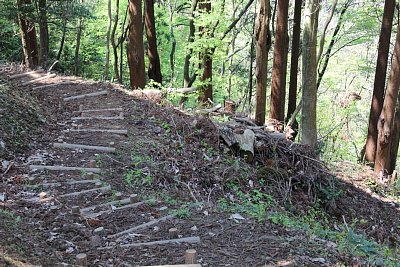 通路が屈曲していて竪堀があることがわかります