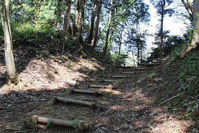 左側は土塁、中央が堀切です